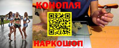 мяу мяу мука Нальчик