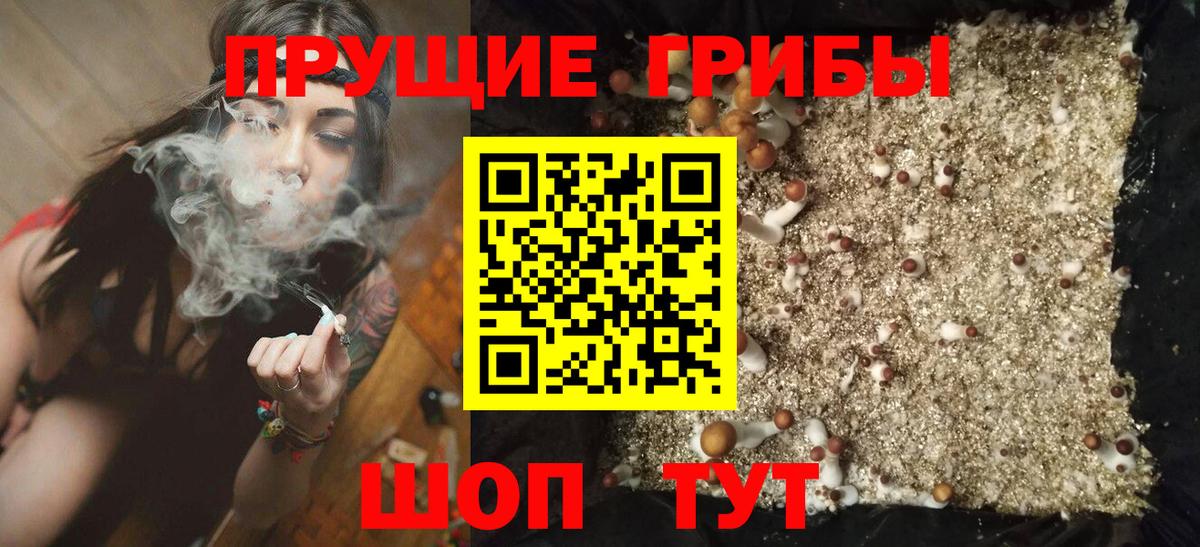 Чусовой  Галлюциногенные грибы MAGIC MUSHROOMS  Вход с VPN 